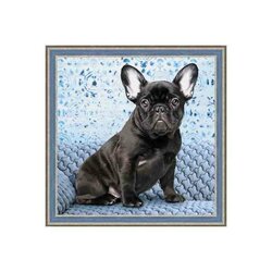 Diamond Painting Kit Bulldog 40 x 40 cm vierkante steentjes