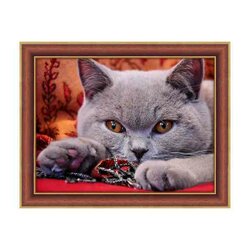 Diamond Painting Britse korthaar 40x 30 cm Vierkante steentjes