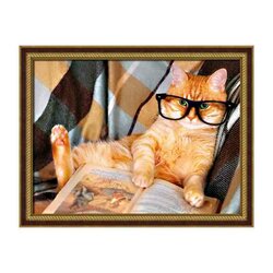 Daimond Painting kit Reading Cat 30 x 40 cm vierkante steentjes