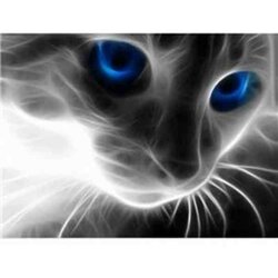 Diamond Painting- Kat met Blauwe Ogen 40 x 30 cm vierkante steentjes