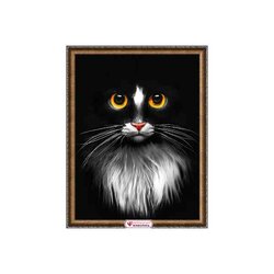 Diamond Painting Black cat  vierkante steentjes 30x40
