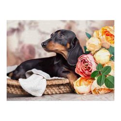 Diamond Painting Dashond   Vierkante steentjes 30x40