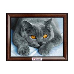 Diamond Painting Loving British cat 30x40