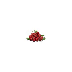 Diamond Painting Cherries 30x20