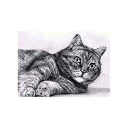 Diamond painting kit Curiosity vierkante steentjes 50 x 35 Cm