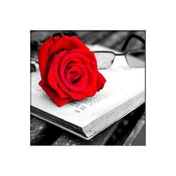 Diamond Painting Artibalti Rose and book  25 x25