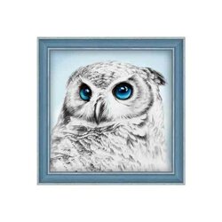 Diamond Painting Owl Sight 25x25 cm