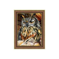 Diamond Painting Smart Owl 30x40 cm