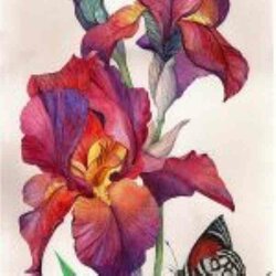 Diamond Painting Iris  70 x 40 vierkante steentjes