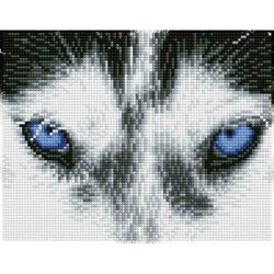 Diamond Painting DQ7.004 DIAMOND DOTZ® SQUARES - 20.3x26cm - Mystic Husky