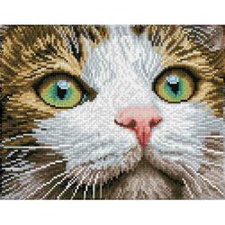 DIAMOND DOTZ Green Eyed Beauty - Diamond Painting - 11.904 Dotz - 43x35 cm