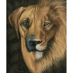 Diamond Painting Rhodesian Ridgeback / Leeuw 50x60 Cm