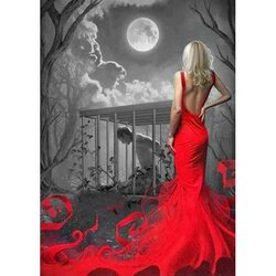 Red Lady + Kooi  50  x 70