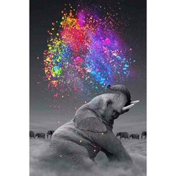 Olijke Olifant 40 x 60  ronde steentjes