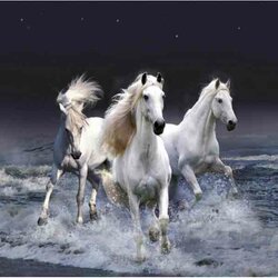 Diamond Painting 3 paarden 40 x 40  ronde steentjes