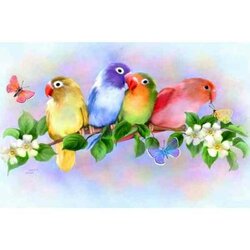 4 vogeltjes  55 x40  Ronde  Steentjes