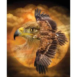 Diamond Painting Ronde  Steentjes Spirit  40 x 50