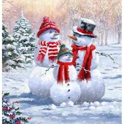 sneeuw Familie30 x 28 Ronde Steentjes