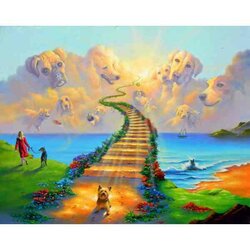 Diamond Painting Honden Brug naar de hemel 55 x42 Ronde Steentjes