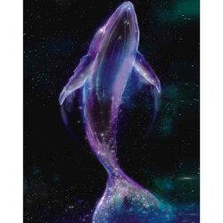 Diamond Painting Space Whale  50 x 40 Ronde Steentjes op kader