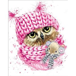 Winter Owl 50 x40  cm  ronde steentjes met kader