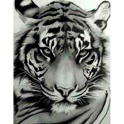 Diamond Painting Wise Look   50 x40  cm  ronde steentjes met kader