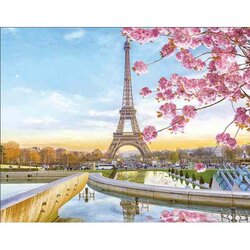 Paris in Blossom 50 x40  cm  ronde steentjes met kader