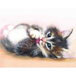 Little Kitten  50 x40  cm  ronde steentjes met kader