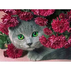 Diamond Painting Bloemen poes 60 x 45  vierkante steentjes