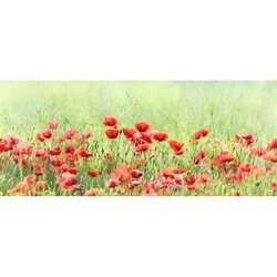 Klaprozen  100 x 40 vierkante steentjes