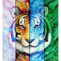 Diamond Painting Seizoenen Tijger 75 x 70  100 kleuren Vierkante Steentjes