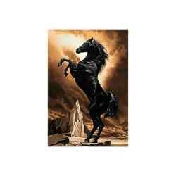 Diamond Painting Kit Strong Horse 48 x70 cm vierkante steentjes