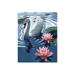 Diamond Painting Princess Swan 38 x 48 cm  Vierkante steentjes WD241