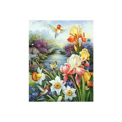 Diamond Painting Hummingbird 38 x 48 cm  vierkante steentjes WD236