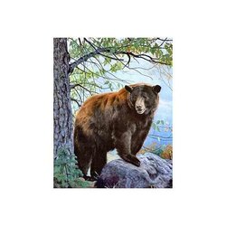 Diamond Painting Brown Bear vierkante steentjes  38x48 cm  WD083