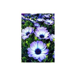 Diamond  Painting Alpine Flowers  68 x 100 cm Diamond Painting