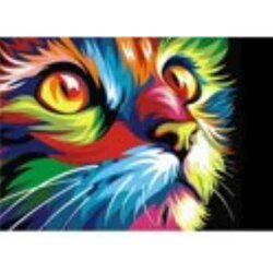 Diamond Painting Rainbow cat  38 x 27 cm  vierkante steentjes