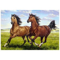 Diamond Painting Tandem / Paarden  70 x 48 cm vierkante steentjes