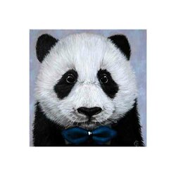 Diamond  Painting Panda with Bow Tie /strik 20x 20 cm vierkante steentejs
