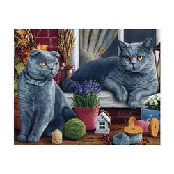 Diamond  Painting British Shorthair Cats 48 x 38 cm vierkante steentjes