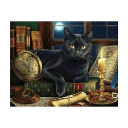 Diamond  Painting Wise Cat  48x 38 cm  vierkante steentjes