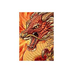 Diamond  Painting Chinese Draak / Dragon  27 x 38 cm vierkante steentjes