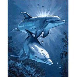 Wizardi Diamond painting WD222 - Dolphins Dating 38x48 cm
