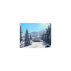 Diamond Painting Winter day 50x40 vierkante steentjes