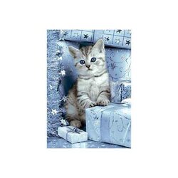 Kitten and Christmas Presents 27*38 cm