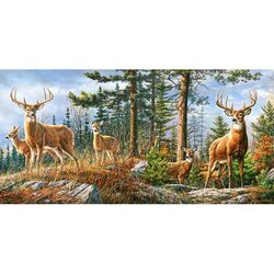 Royal Deer Family -  Puzzel 4000 stukjes
