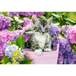 Kitten in Basket  Puzzel 1500 Stukjes