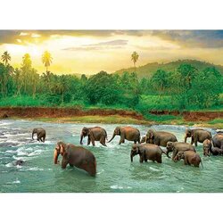 Save our Planet Collection - Rain Forest -  Puzzel 1000 stukjes