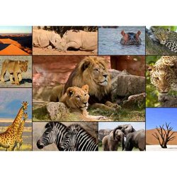 Collage Wilde dieren Puzzel 2000 Stukjes