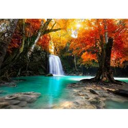 Deep Forest Waterfall   Puzzel 2000 Stukjes
